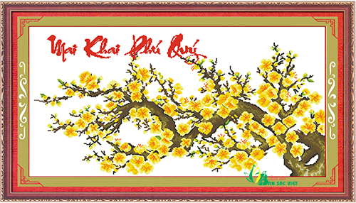 hq031 mai vang 2 mkpq web 500